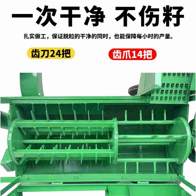 图为布罗林卡盛开的红叶李。贡嘎来松 摄
